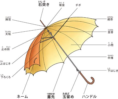 傘的種類